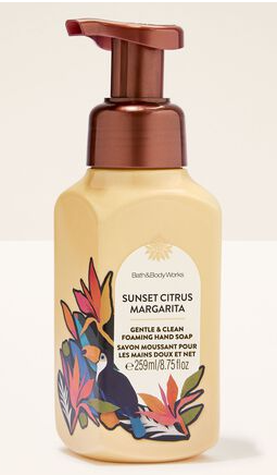 Bath & Body Works Cleansing Gel Hand Soap
