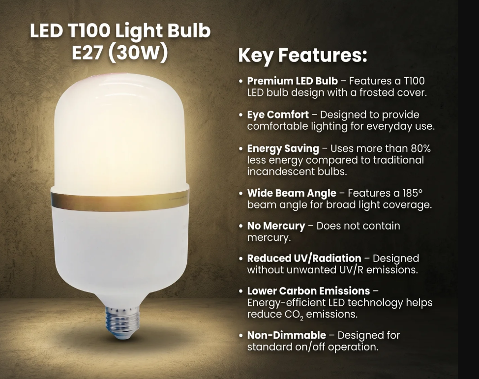LED T100 LIGHT BULB E27 (30W) (2/pcs)