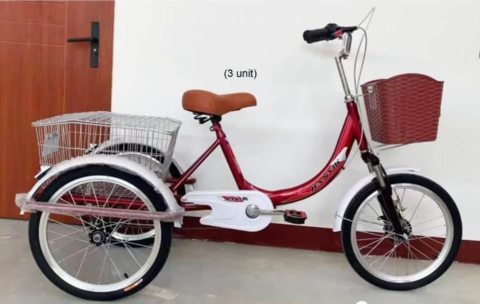 20 Inch Tricycle Single Speed