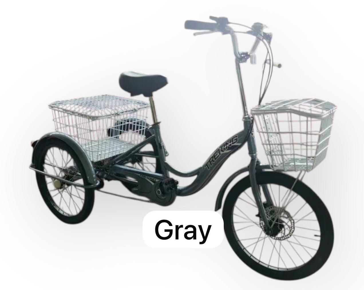 20 Inch Tricycle Single Speed