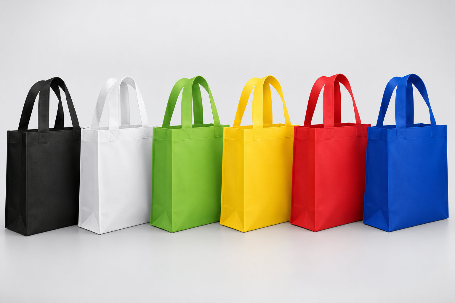 Non Woven Bag 100 gsm 1 Colour 1 Side Printing 300 pcs