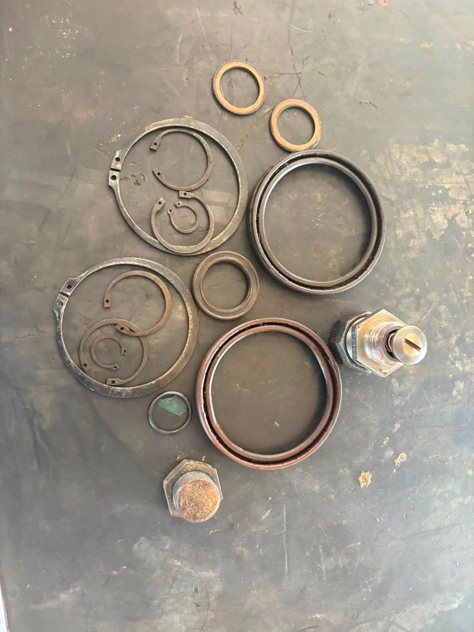 CIRCLIP, OIL SEAL AND COPPER GASKET AS PER SAMPLE